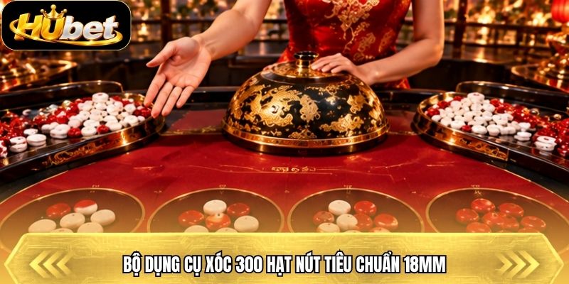 Bộ dụng cụ xóc 300 hạt nút tiêu chuẩn 18mm