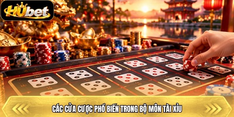 Các cửa cược phổ biến trong bộ môn tài xỉu